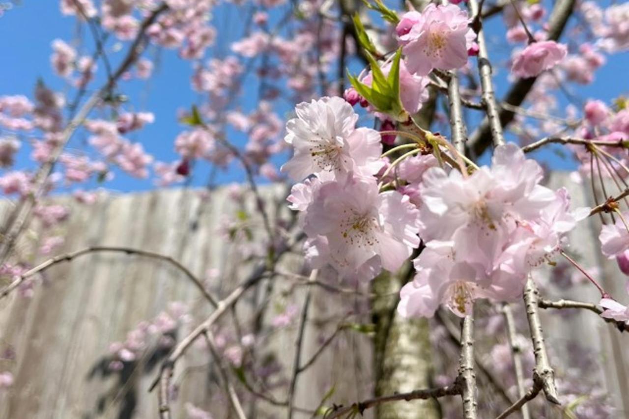Machi No Odoriba Hotel Kanazawa Luaran gambar